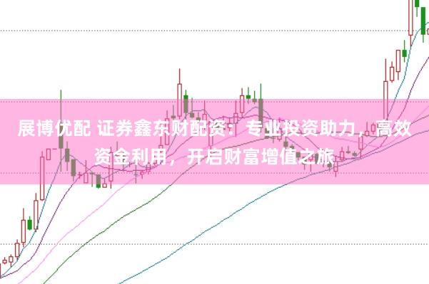 展博优配 证券鑫东财配资：专业投资助力，高效资金利用，开启财富增值之旅