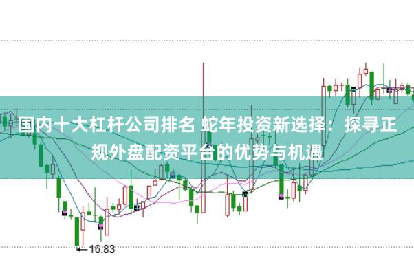 国内十大杠杆公司排名 蛇年投资新选择：探寻正规外盘配资平台的优势与机遇
