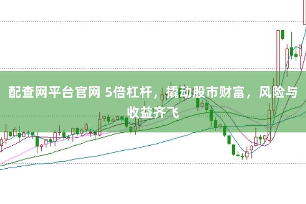 配查网平台官网 5倍杠杆，撬动股市财富，风险与收益齐飞