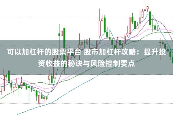 可以加杠杆的股票平台 股市加杠杆攻略：提升投资收益的秘诀与风险控制要点
