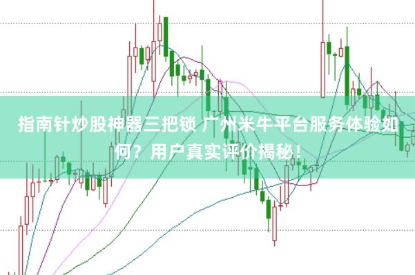 指南针炒股神器三把锁 广州米牛平台服务体验如何？用户真实评价揭秘！