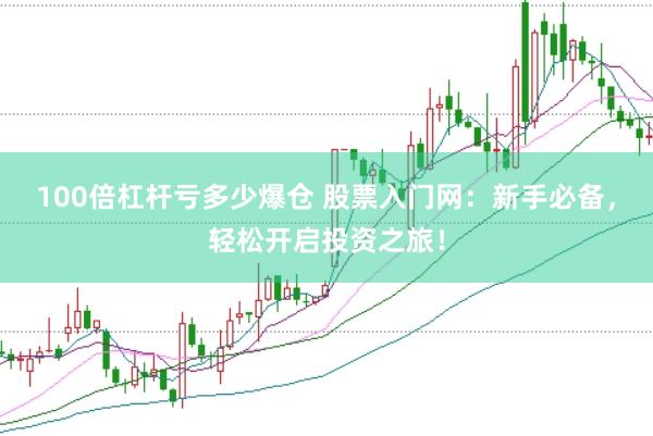 100倍杠杆亏多少爆仓 股票入门网：新手必备，轻松开启投资之旅！