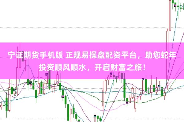 宁证期货手机版 正规易操盘配资平台，助您蛇年投资顺风顺水，开启财富之旅！