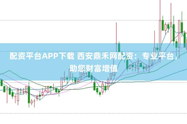配资平台APP下载 西安鼎禾网配资:专业平台,助您财富增值