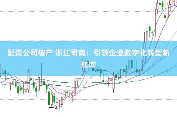 配资公司破产 浙江司南：引领企业数字化转型新航向