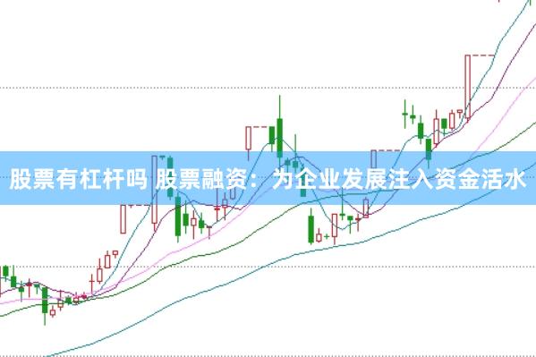 股票有杠杆吗 股票融资：为企业发展注入资金活水