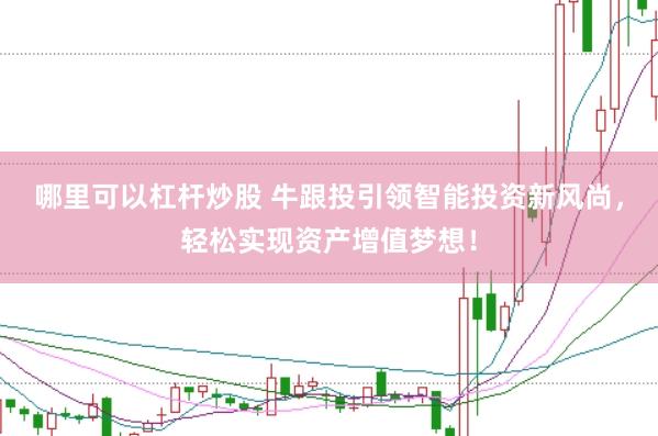 哪里可以杠杆炒股 牛跟投引领智能投资新风尚，轻松实现资产增值梦想！