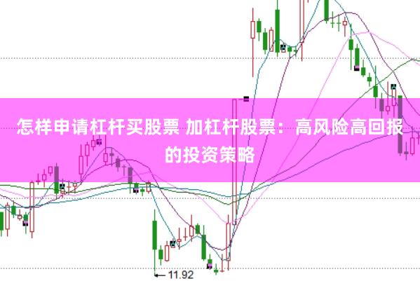 怎样申请杠杆买股票 加杠杆股票：高风险高回报的投资策略