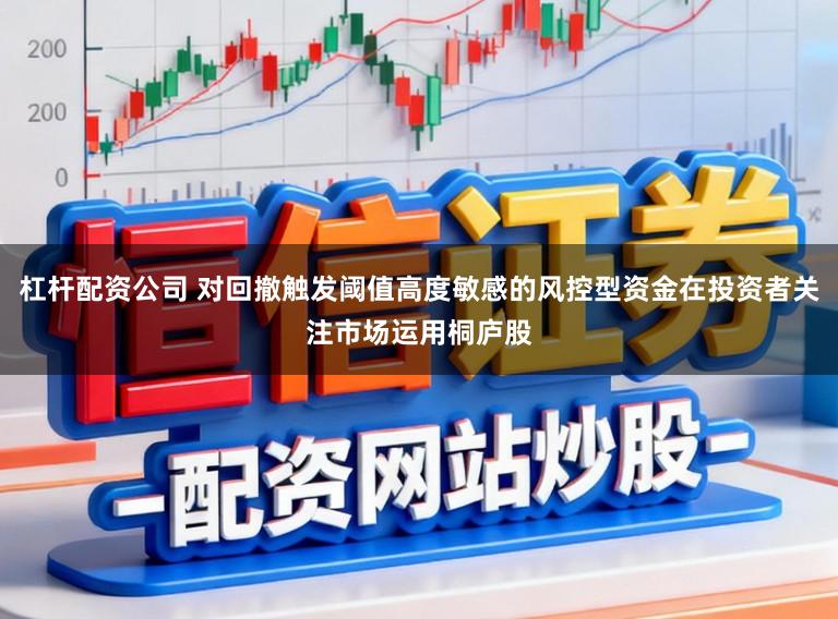 杠杆配资公司 对回撤触发阈值高度敏感的风控型资金在投资者关注市场运用桐庐股